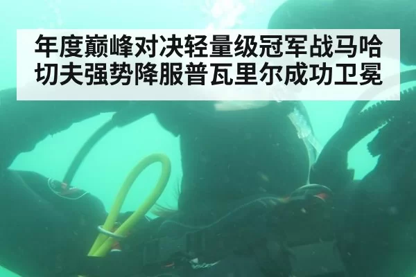 年度巅峰对决轻量级冠军战马哈切夫强势降服普瓦里尔成功卫冕